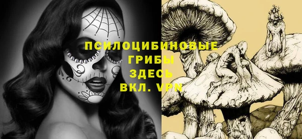 mdma Кукмор