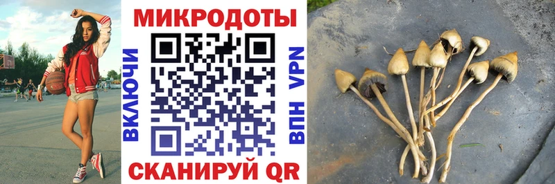Псилоцибиновые грибы Psilocybine cubensis  Купить закладки  Белоярский 